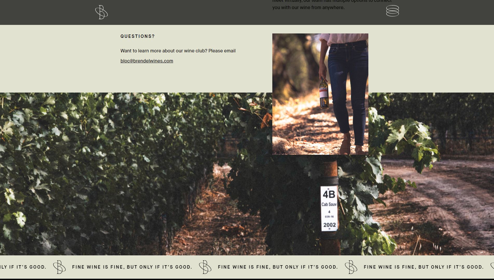 diseno-web-viñedo-wine-brendell-46