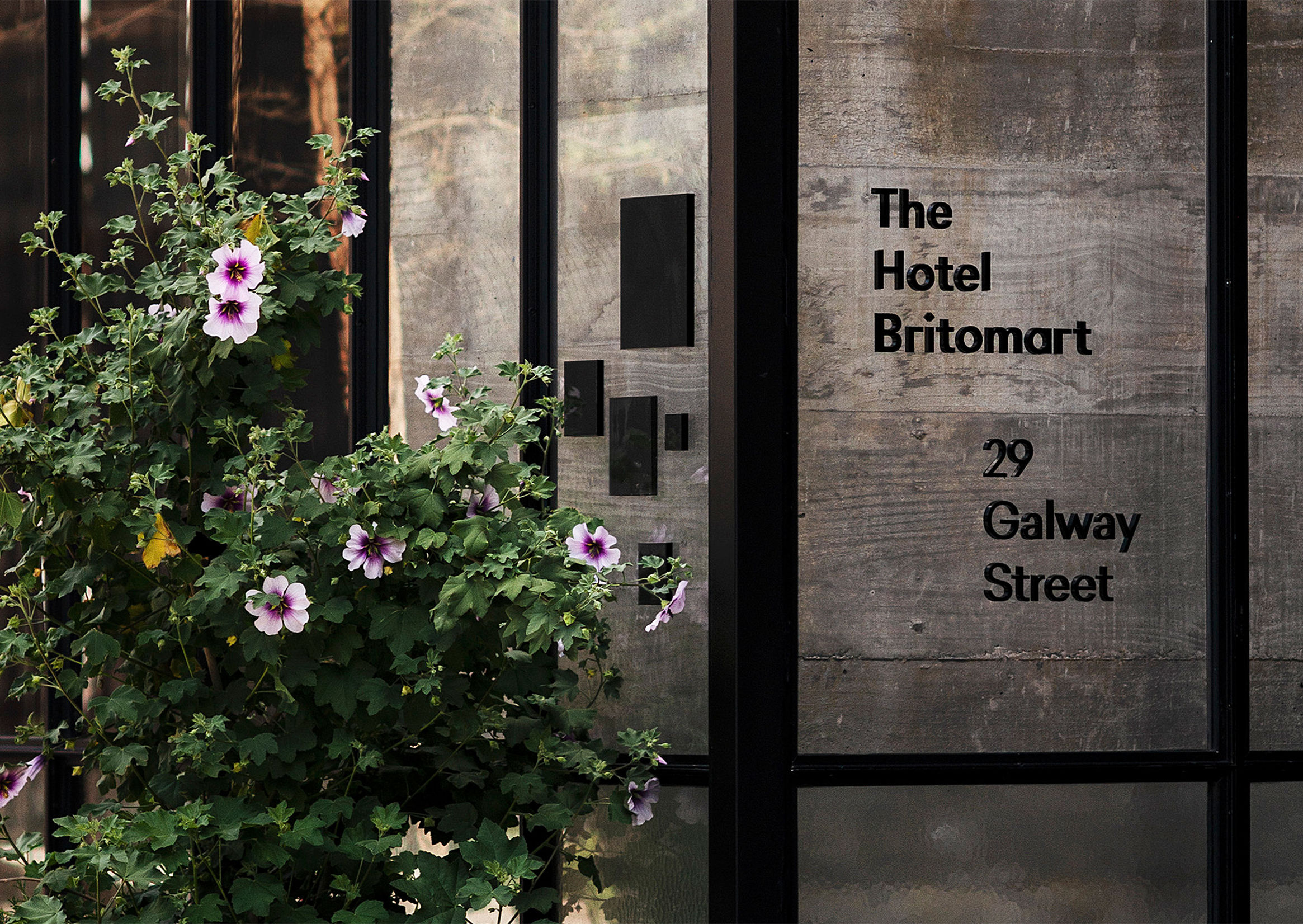 ejemplos-branding-hotel-hotel-britomart-021