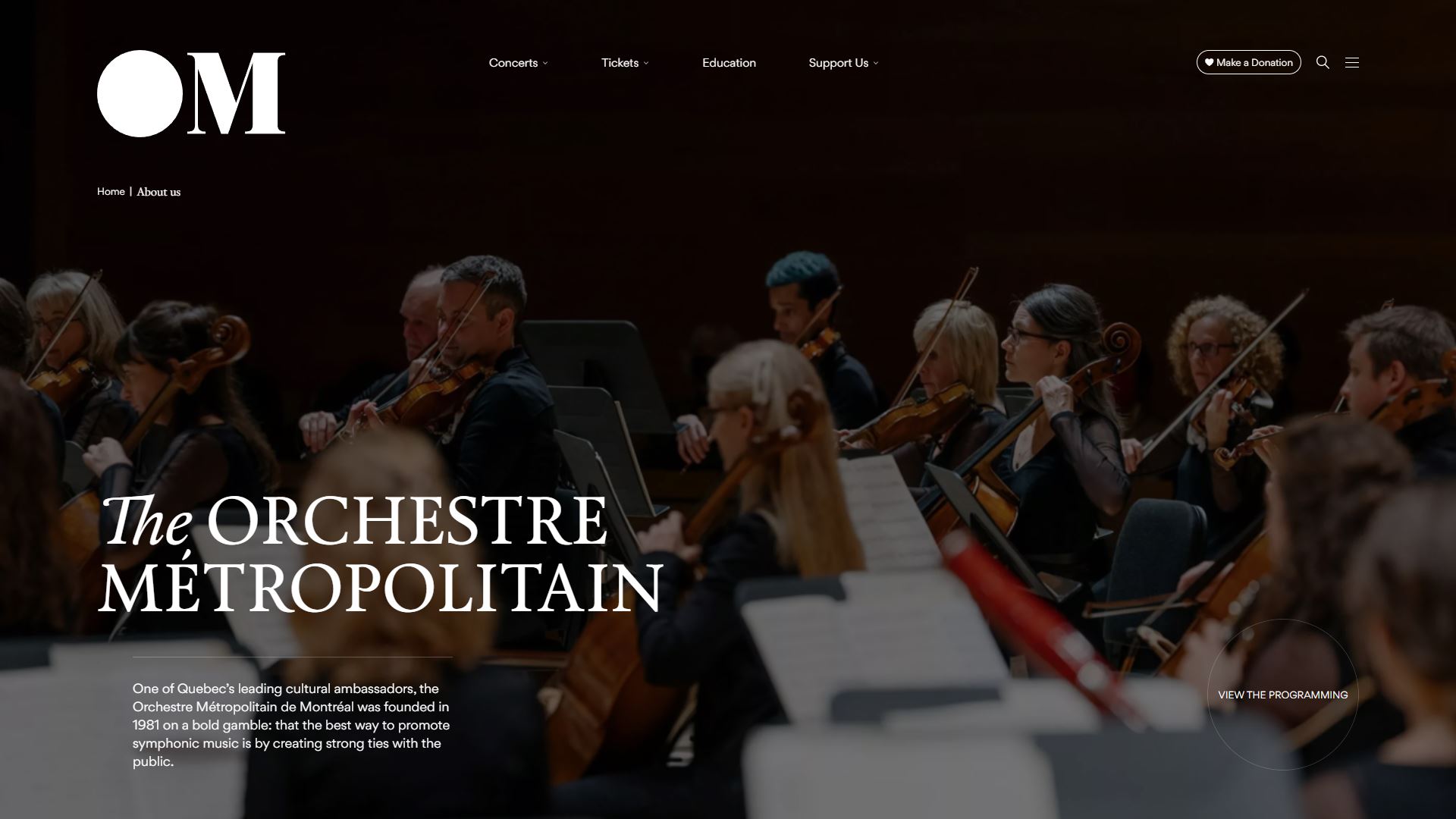 mejor-diseno-web-orchestre-metropolitainy-045