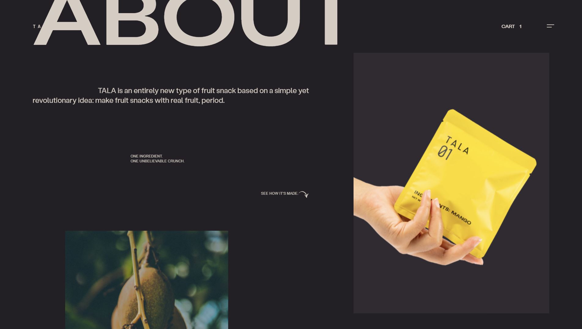 mejor-web-alimentacion-tala-36