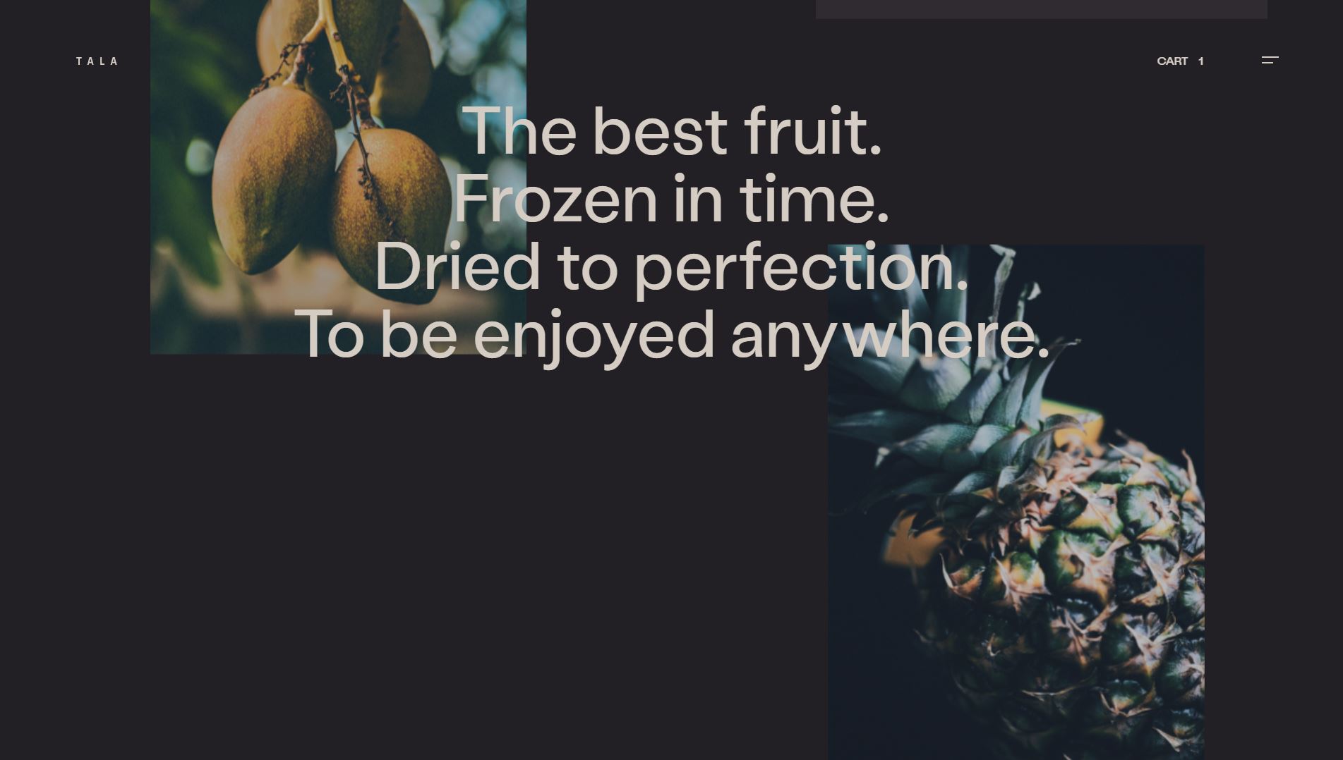 mejor-web-alimentacion-tala-37