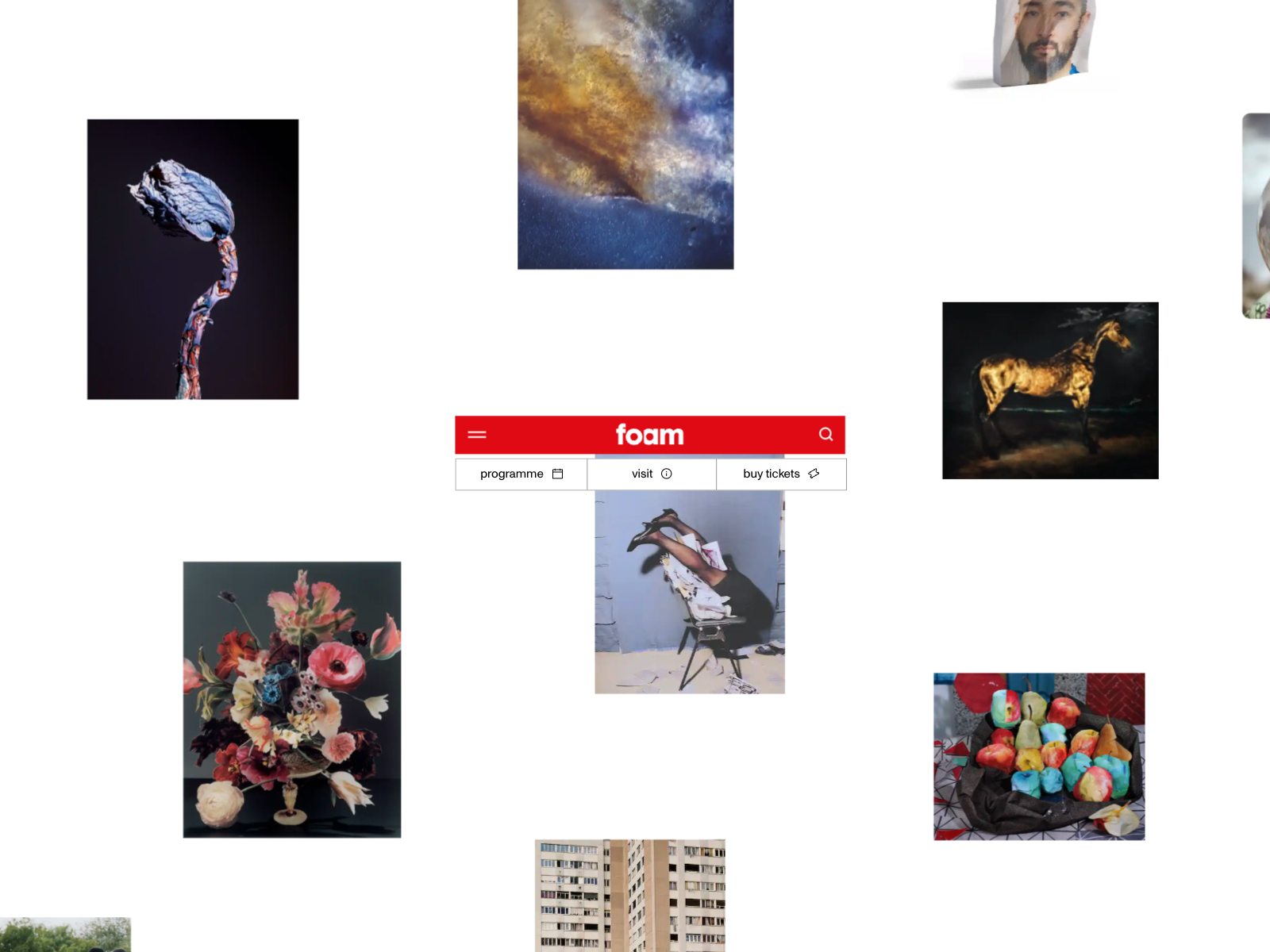 mejor-diseño-web-enero-2023-foarm-org-04