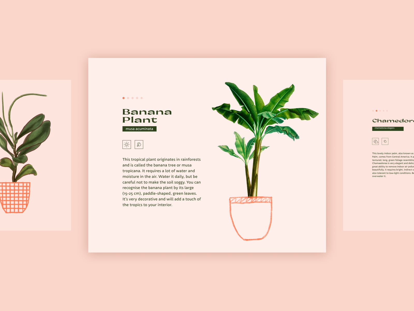 tendencias-diseño-web-2023-plantarium-01