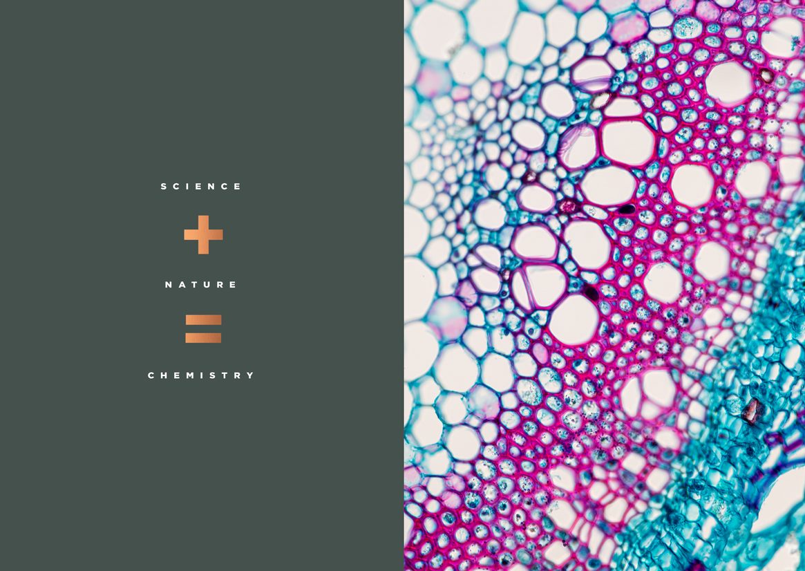 mejor-diseño-grafico-2023-chemistry-gin