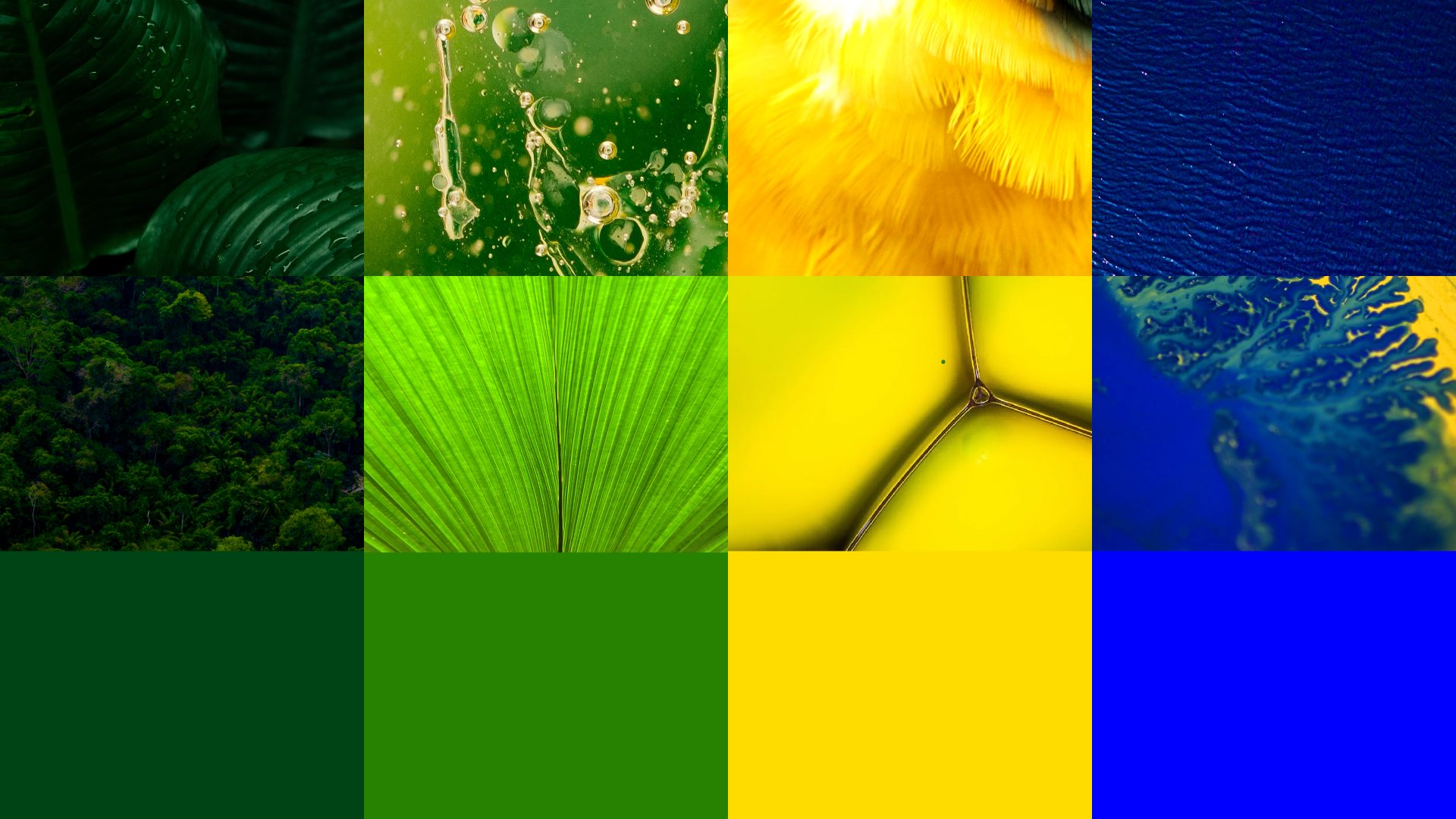 mejor-diseño-grafico-2023-vibra