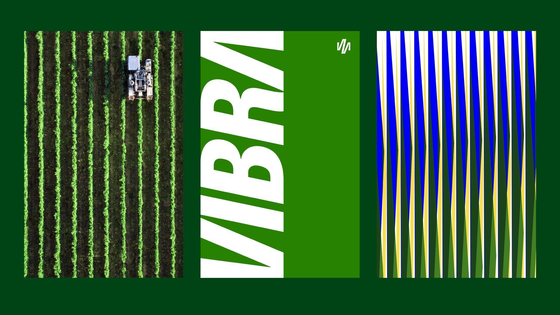 mejor-diseño-grafico-2023-vibra