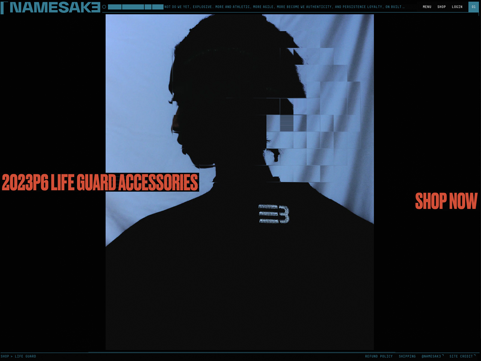 mejor-diseño-web-mes-abril-namesake