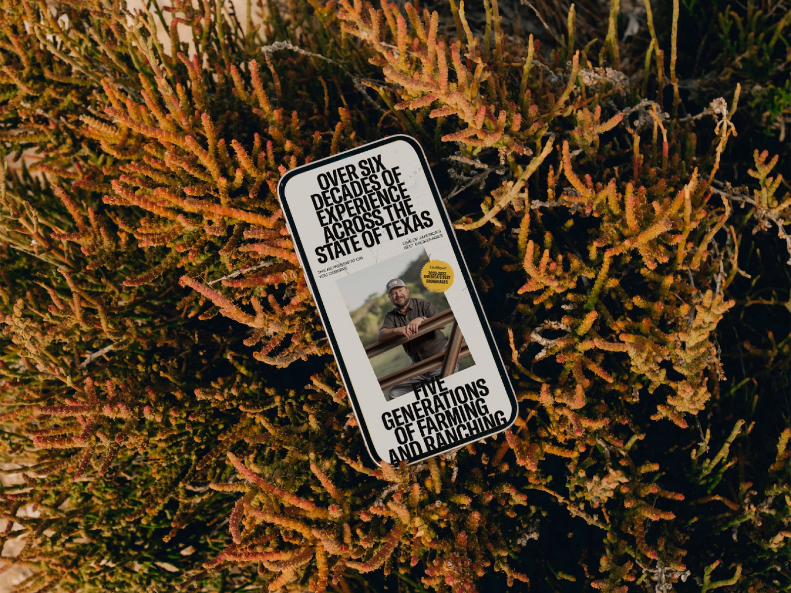 mejor-diseño-web-mes-abril-ranches