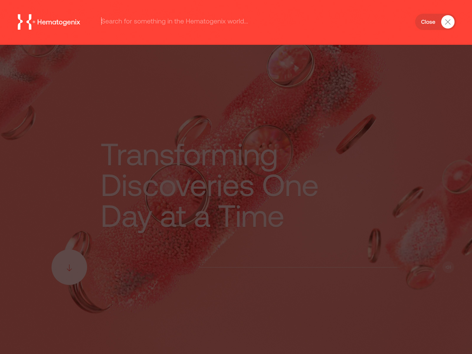 diseño-web-farmaceutico-hematogenix