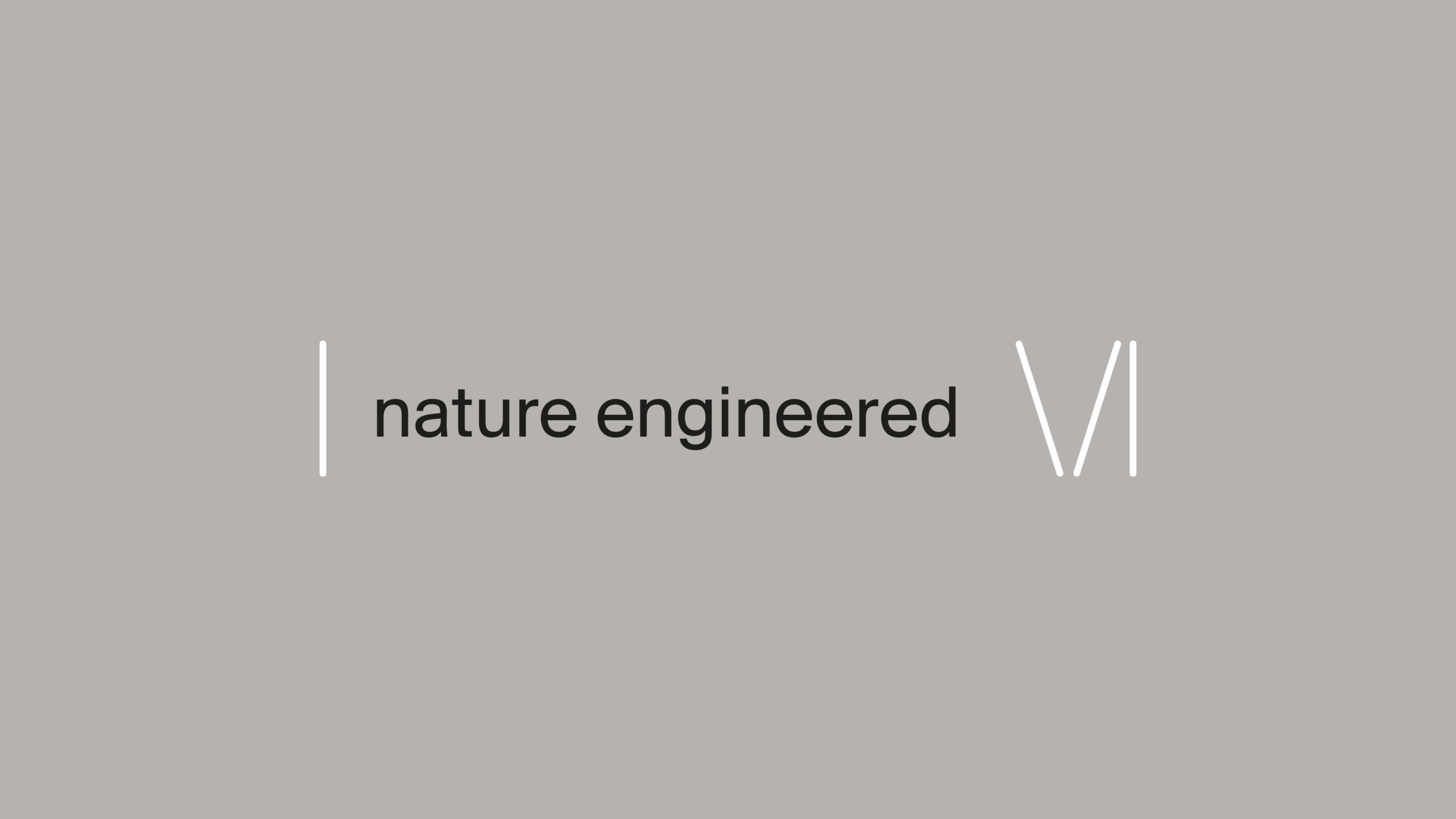 Maestro Technologies con el mensaje nature engineered