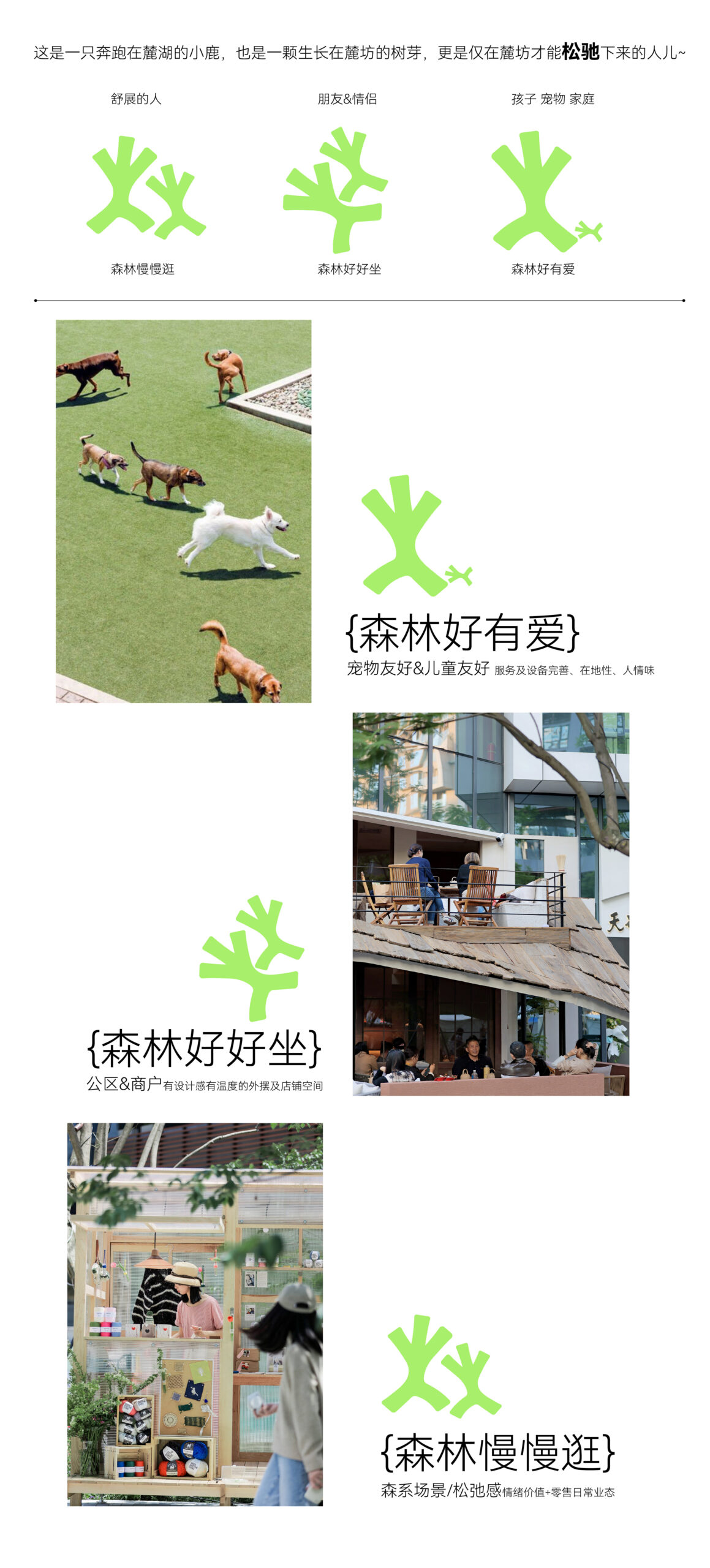 LUXEZONE experiencia comunitaria y pet-friendly